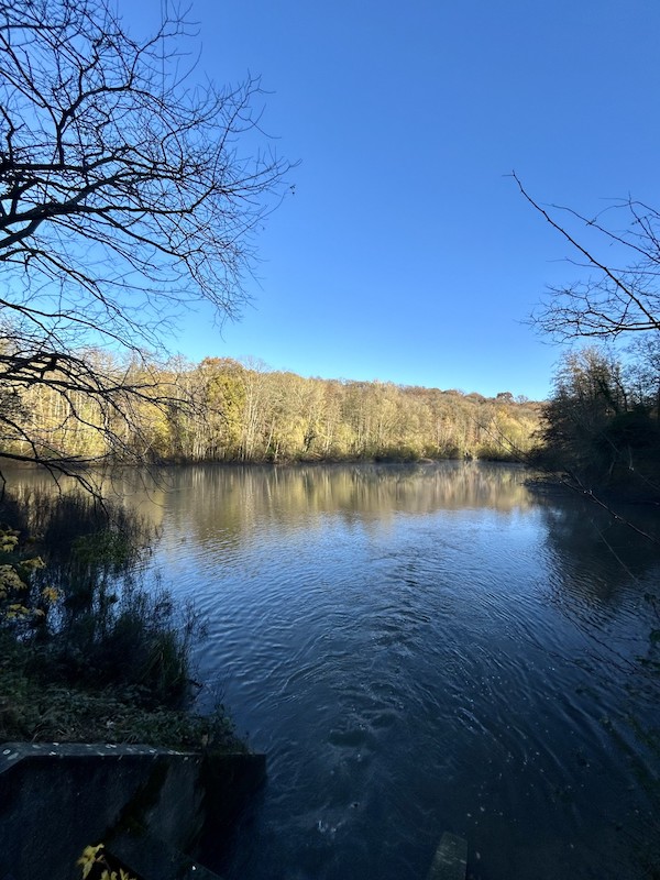 Forêt et Étangs de la Minière